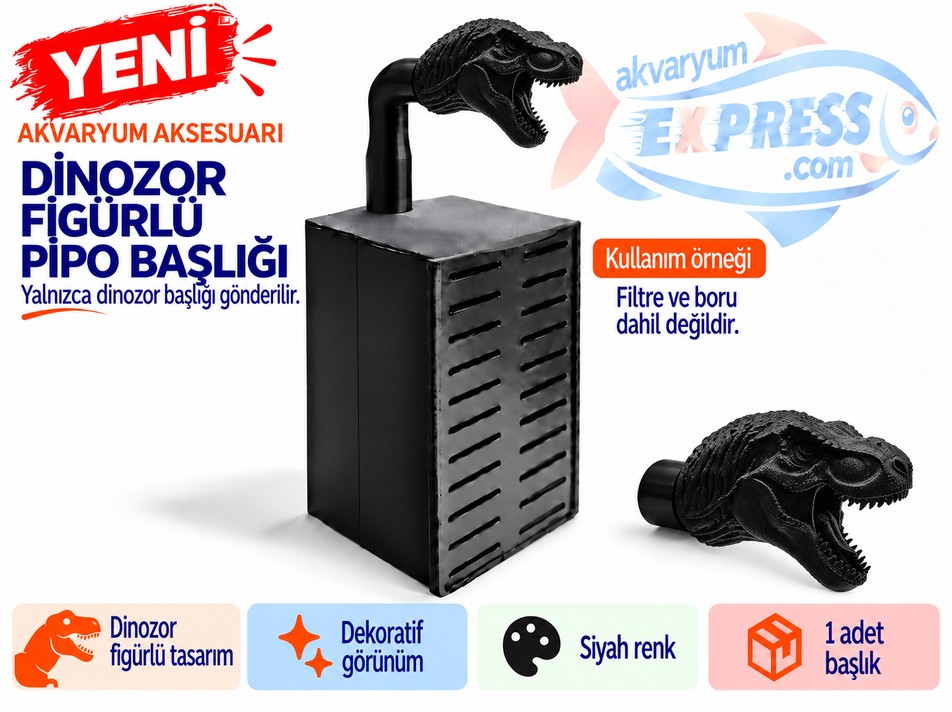 HAMBURG SUMPLU PİPO BORU BAŞLIĞI DİNAZOR