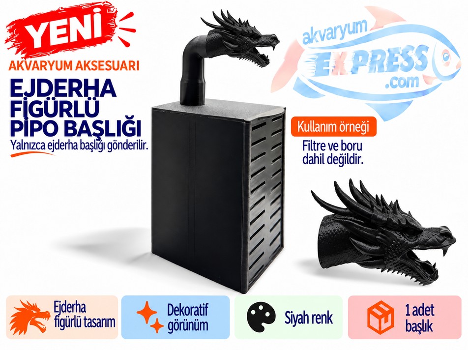 HAMBURG SUMPLU PİPO BORU BAŞLIĞI EJDERHA