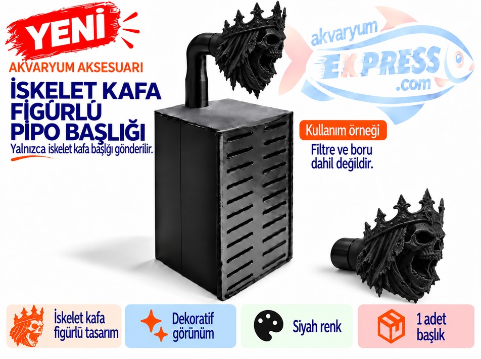 HAMBURG SUMPLU PİPO BORU BAŞLIĞI İSKELET KAFA