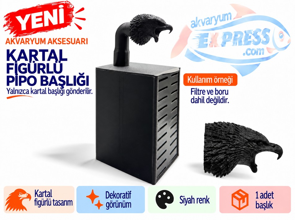HAMBURG SUMPLU PİPO BORU BAŞLIĞI KARTAL