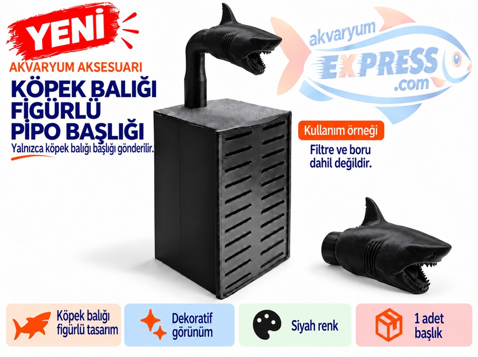 HAMBURG SUMPLU PİPO BORU BAŞLIĞI KÖPEK BALIĞI