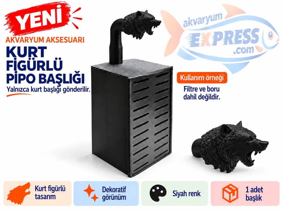 HAMBURG SUMPLU PİPO BORU BAŞLIĞI KURT
