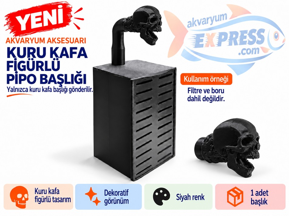 HAMBURG SUMPLU PİPO BORU BAŞLIĞI KURU KAFA