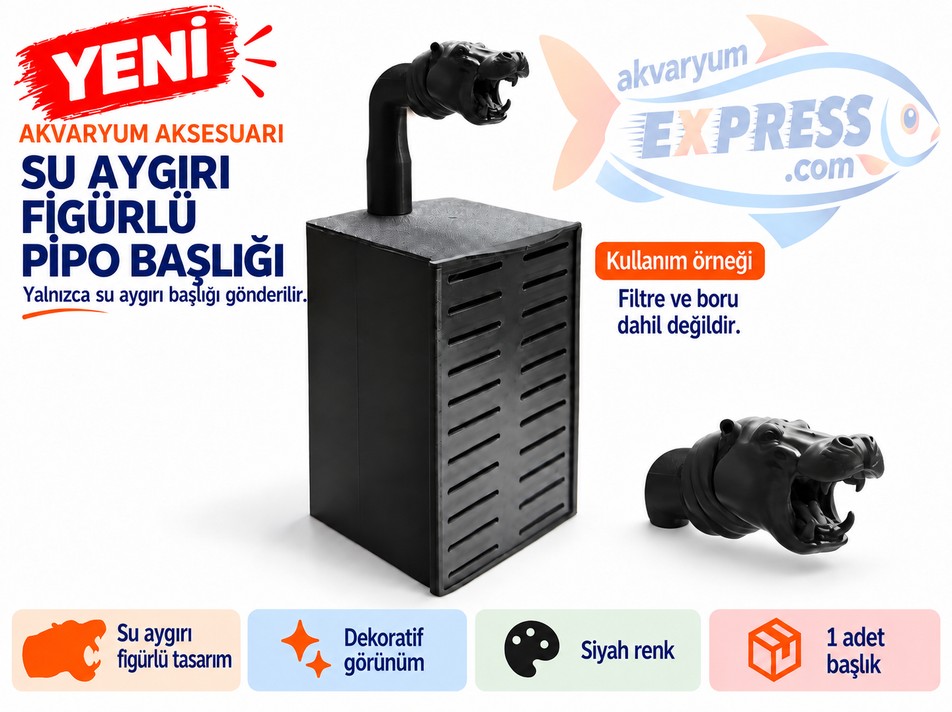 HAMBURG SUMPLU PİPO BORU BAŞLIĞI SU AYGIRI