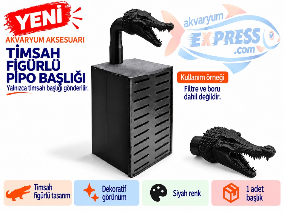 HAMBURG SUMPLU PİPO BORU BAŞLIĞI TİMSAH