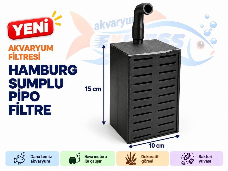 HAMBURG SUMPLU PİPO M BOY (İÇİ BOŞ) MALZEMESİZ