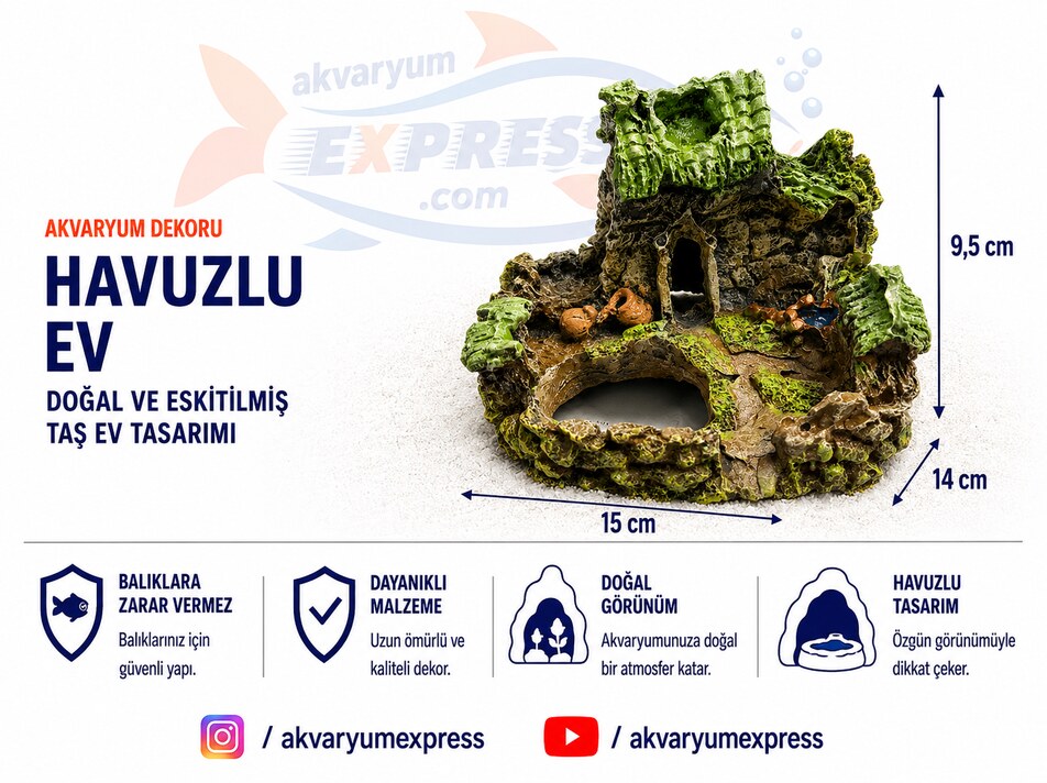 HAVUZLU EV AKVARYUM DEKORU