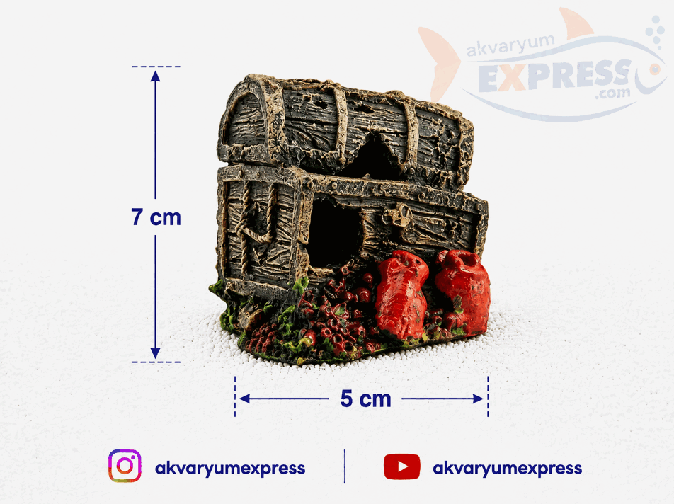 HAZİNE SANDIĞI AKVARYUM DEKORU