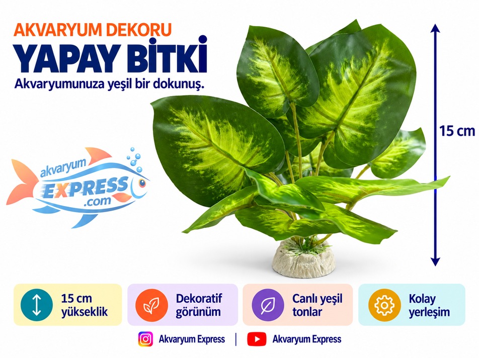 İPEK ANUBİAS YAPAY BİTKİ