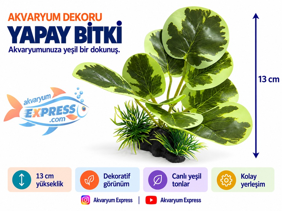 İPEK ANUBİAS YAPAY BİTKİ