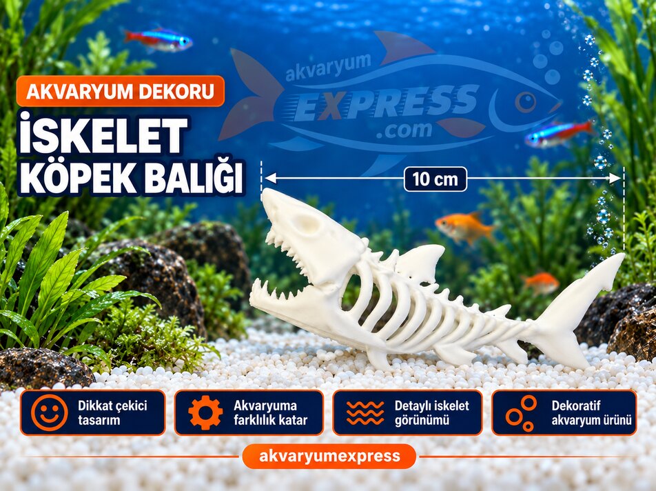 İSKELET KÖPEK BALIĞI AKVARYUM DEKORU