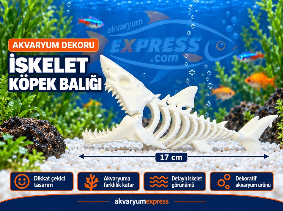 İSKELET KÖPEK BALIĞI AKVARYUM DEKORU