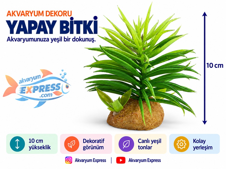 KAYA TABANLI YAPAY PLASTİK BİTKİ