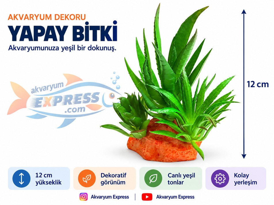 KAYA TABANLI YAPAY PLASTİK BİTKİ