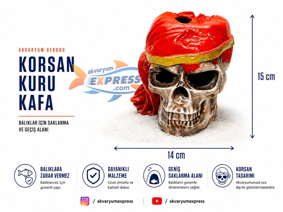 KORSAN KURU KAFA AKVARYUM DEKORU