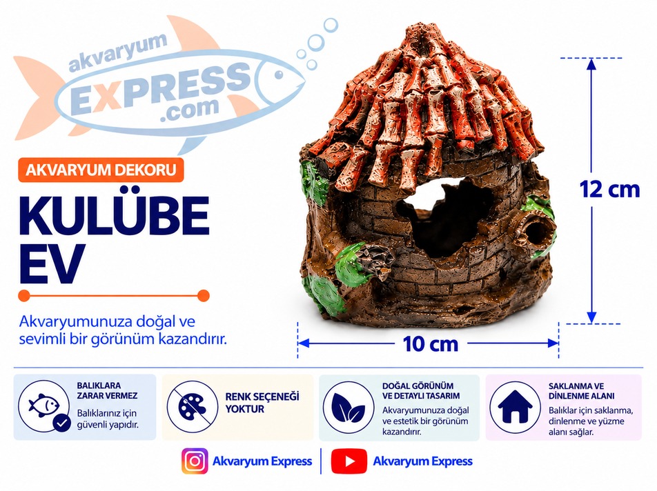 KULUBE EV AKVARYUM DEKORU