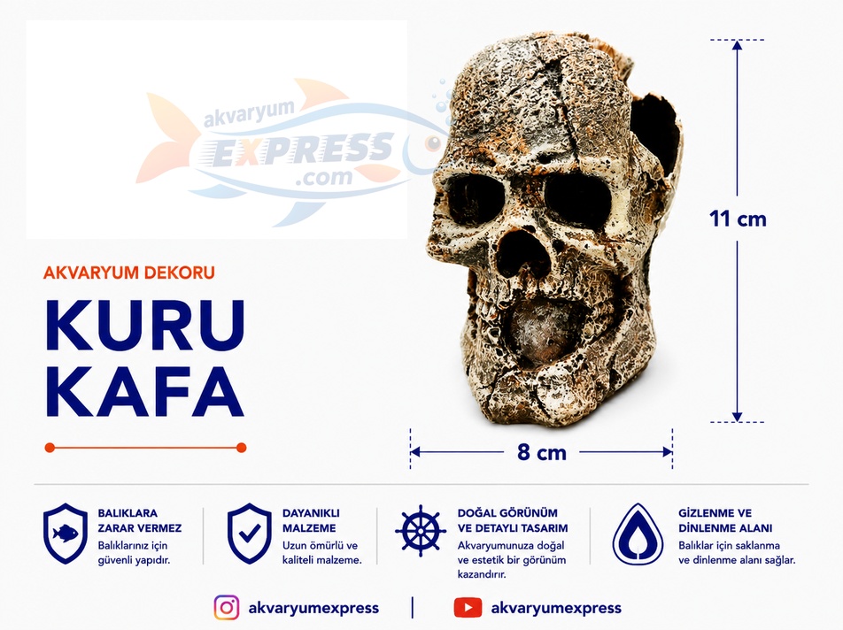 KURU KAFA AKVARYUM DEKORU NO2