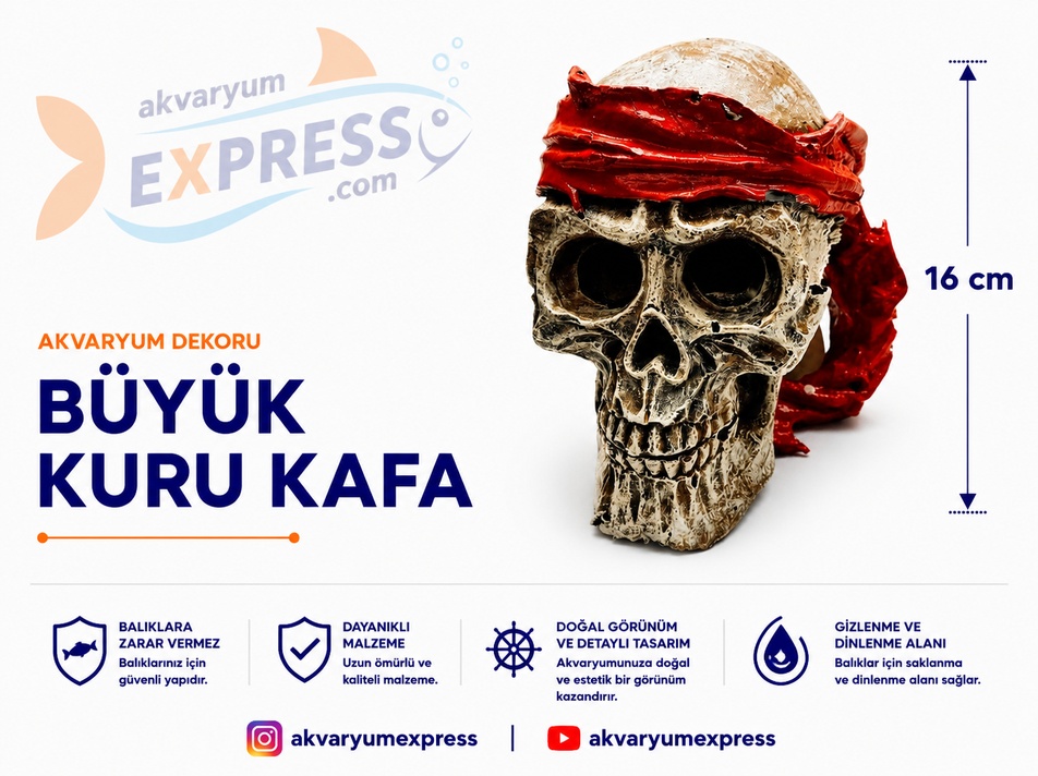 KURU KAFA BÜYÜK AKVARYUM DEKORU