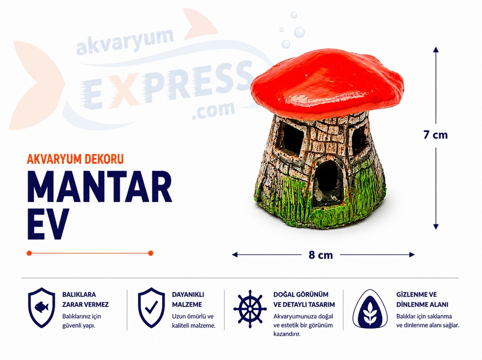 MANTAR EV AKVARYUM DEKORU