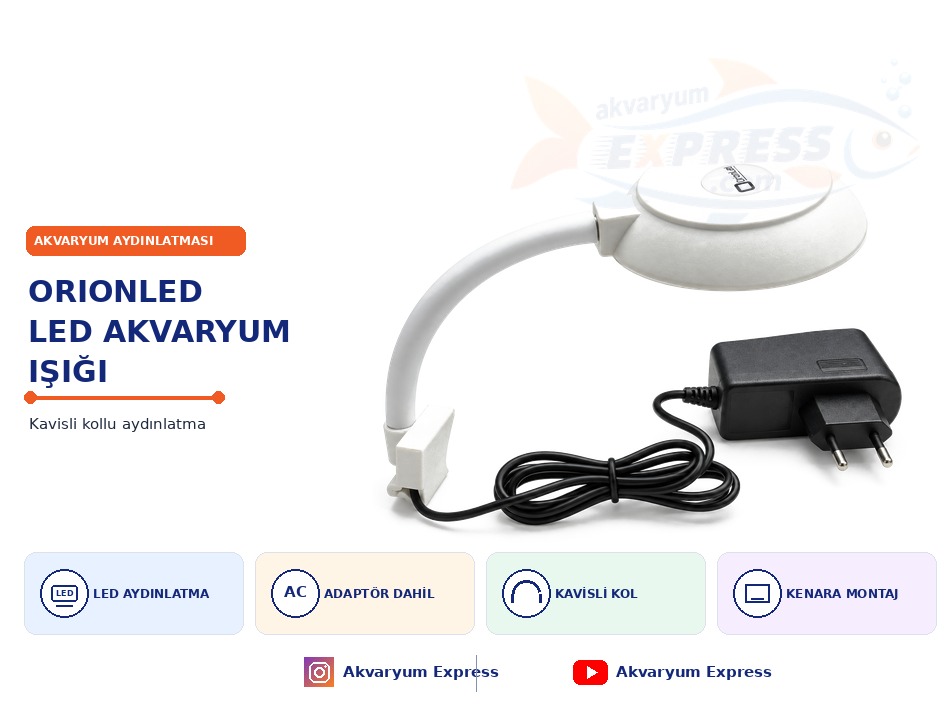 ORİONLED MİNİ FANUS LAMBASI