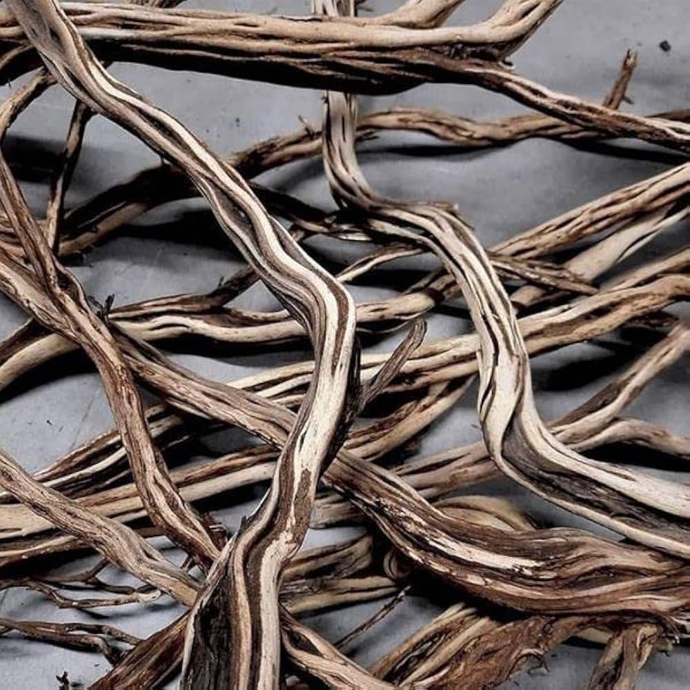 Ribbed Wood Tasarım Yati Kökü 1 ADET 250-2700 GR (AÇIKLAMADA Kİ VİDEOYU İZLEYEBİLİRSİNİZ)