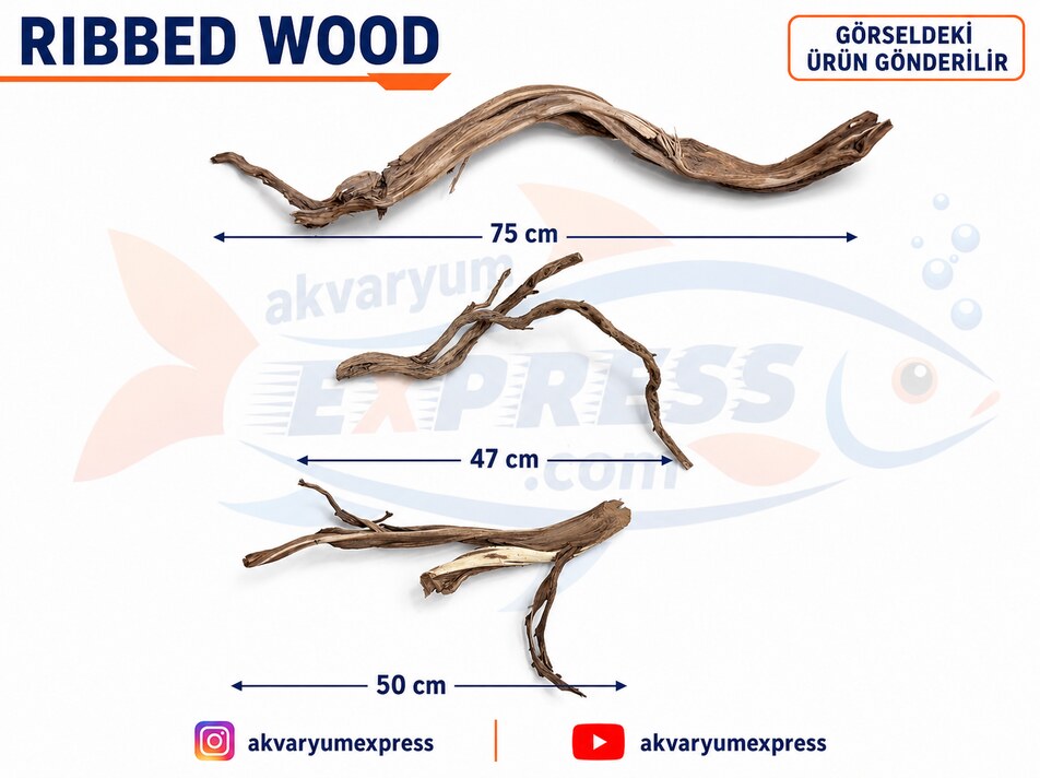 RİBBED WOOD YATİ AKVARYUM DEKORU ASTRO MODEL