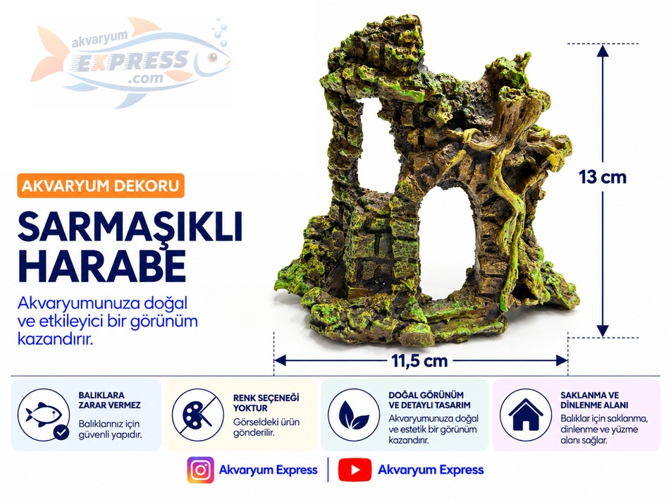 SARMAŞIKLI HARABE AKVARYUM DEKORU