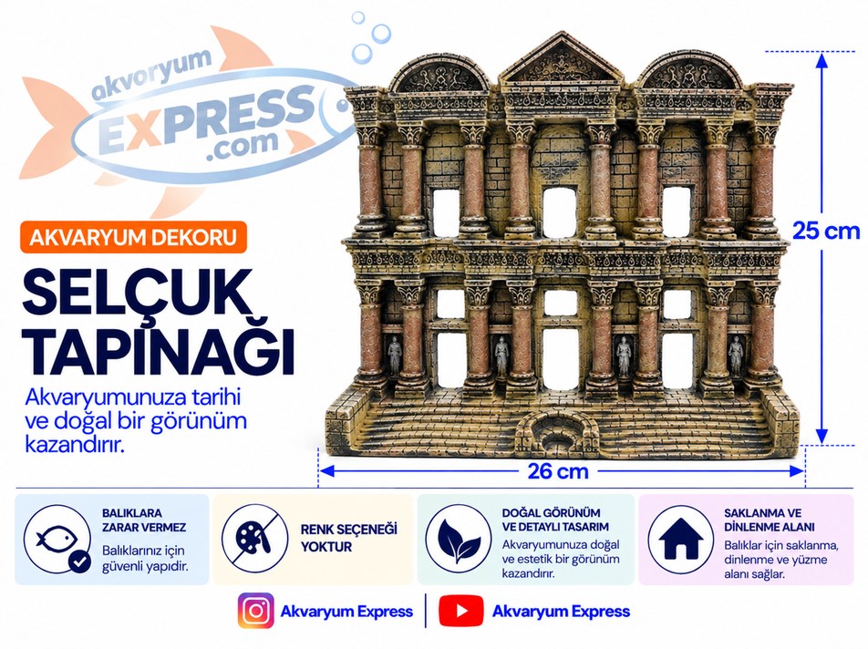 SELÇUK TAPINAĞI AKVARYUM DEKORU