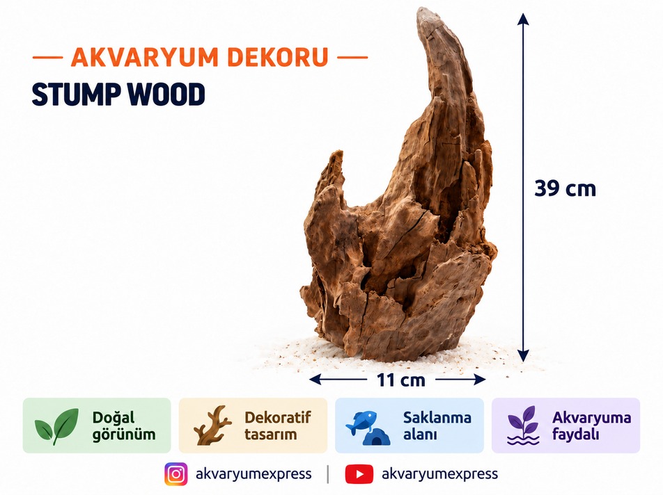 STUMP WOOD DOĞAL DEKORATİF YATİ KÖKÜ AKVARYUM DEKORU