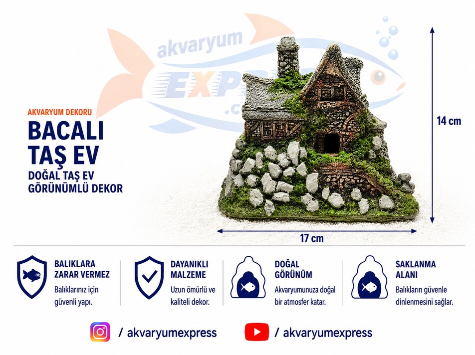 TAŞ EV AKVARYUM DEKORU
