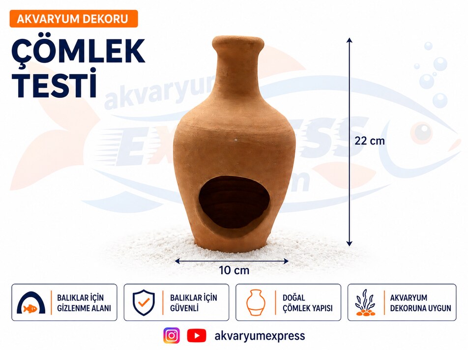 TESTİ ÇÖMLEK AKVARYUM DEKORU