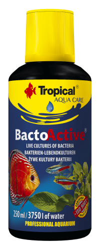 TROPICAL- BACTO ACTIVE 250ML BAKTERİ KÜLTÜRÜ TROPICAL- BACTO ACTIVE 250ML BAKTERİ KÜLTÜRÜ