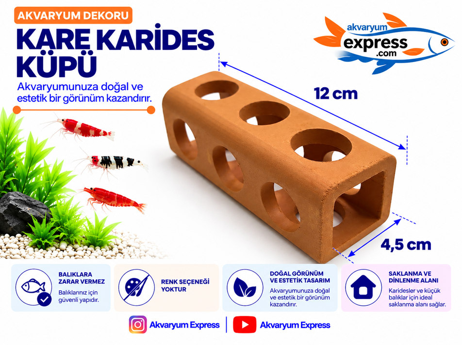 UZUN KARİDES KÜPÜ ÇÖMLEK AKVARYUM DEKORU