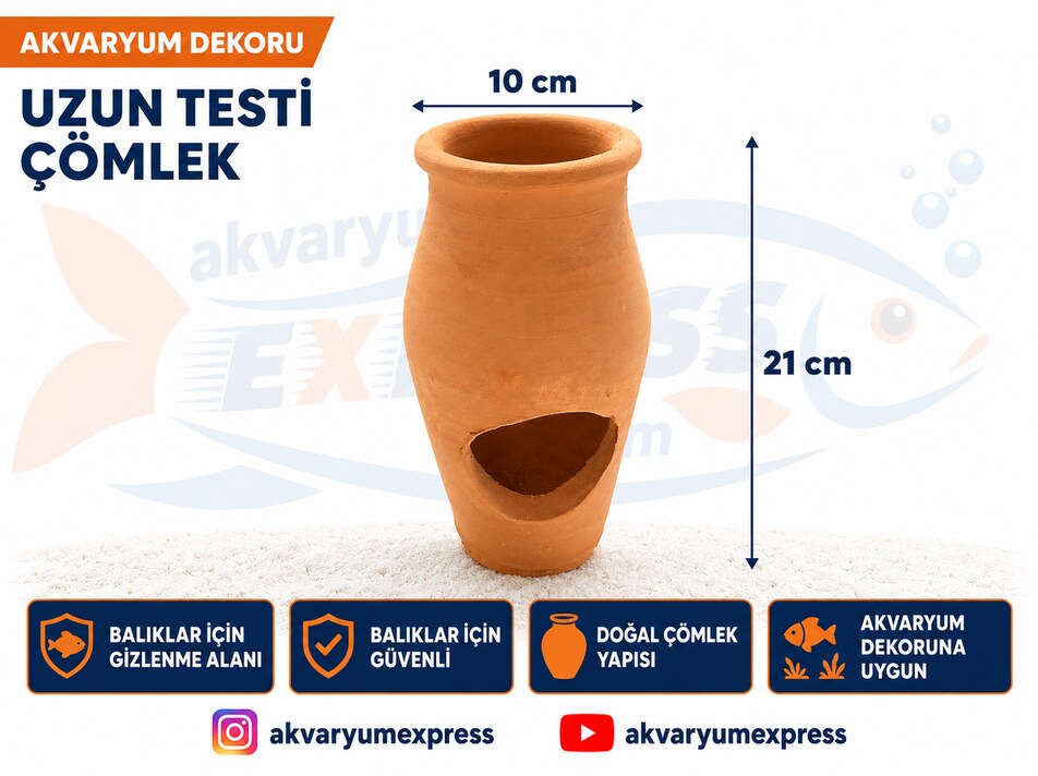 UZUN TESTİ ÇÖMLEK AKVARYUM DEKORU