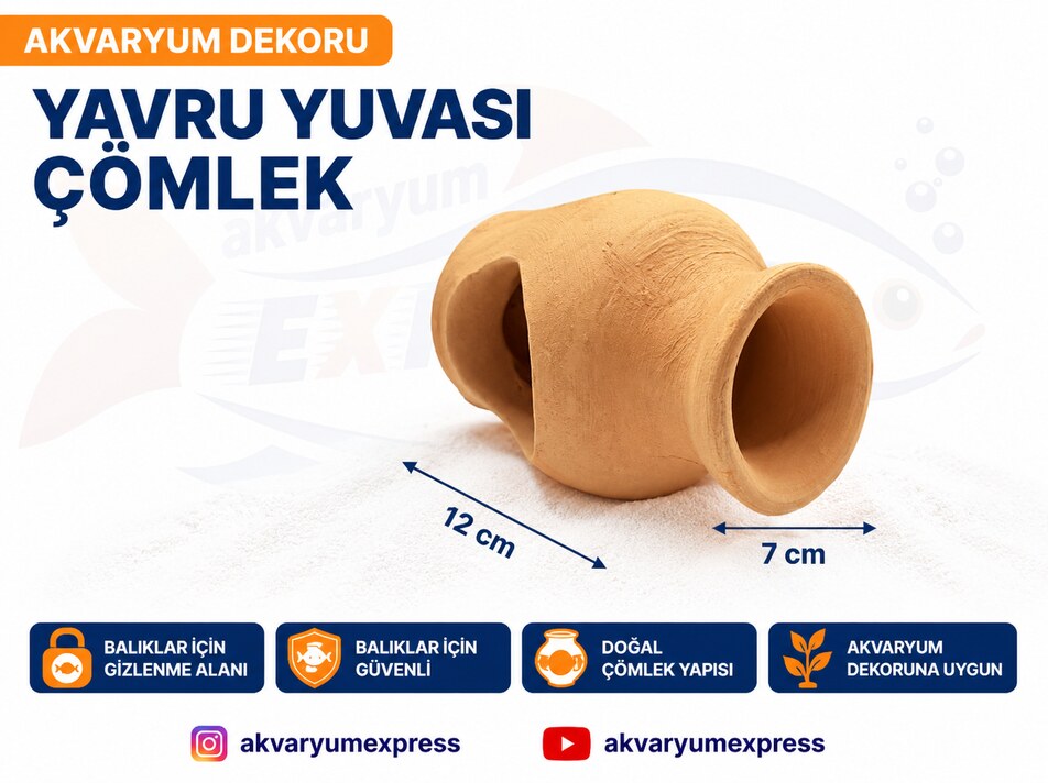 YAVRU YUVASI ÇÖMLEK AKVARYUM DEKORU