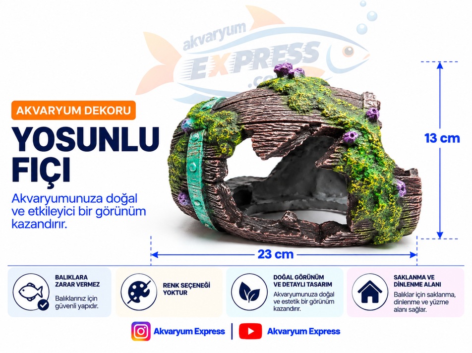 YOSUNLU FIÇI AKVARYUM DEKORU (mağazadan satılır)