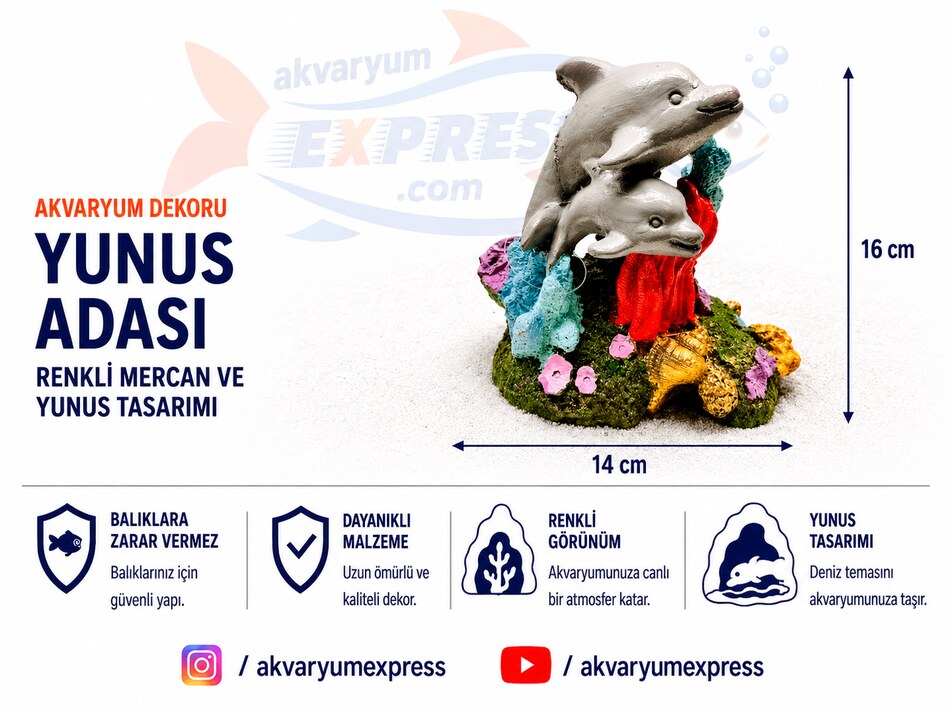 YUNUS ADASI AKVARYUM DEKORU
